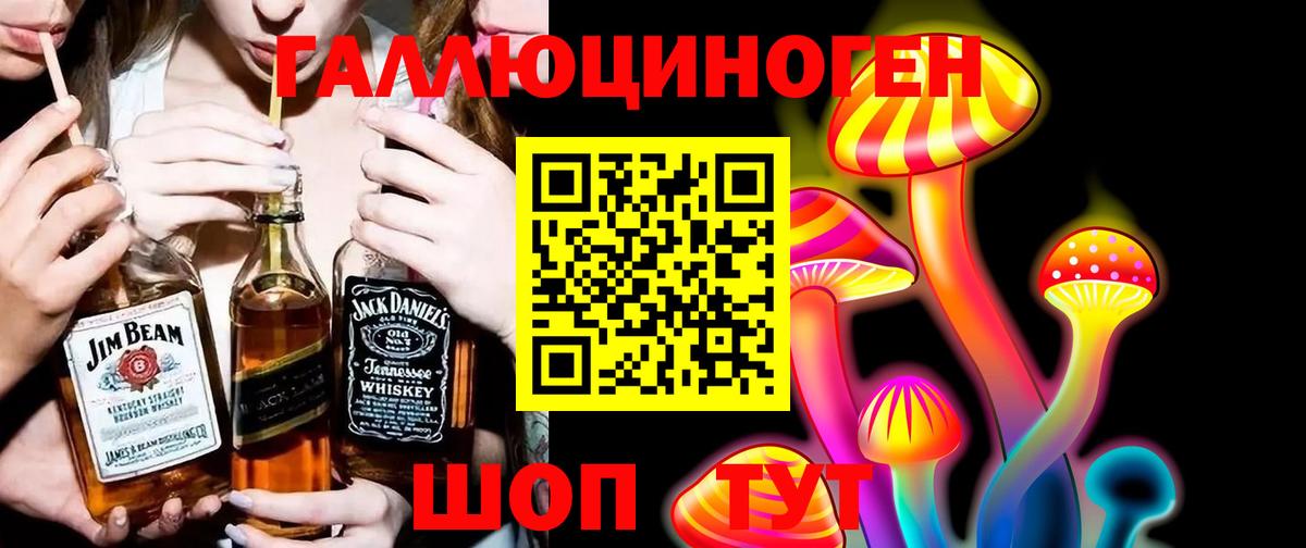 Псилоцибиновые грибы Psilocybine cubensis  Вход с VPN  где найти   Галлюциногенные грибы мицелий  Иркутск 